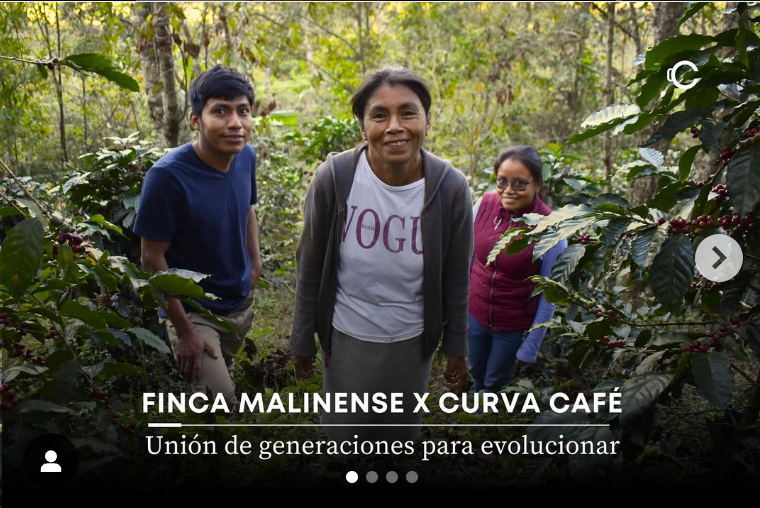 Finca Malinense, Guerrero 250 Gr.